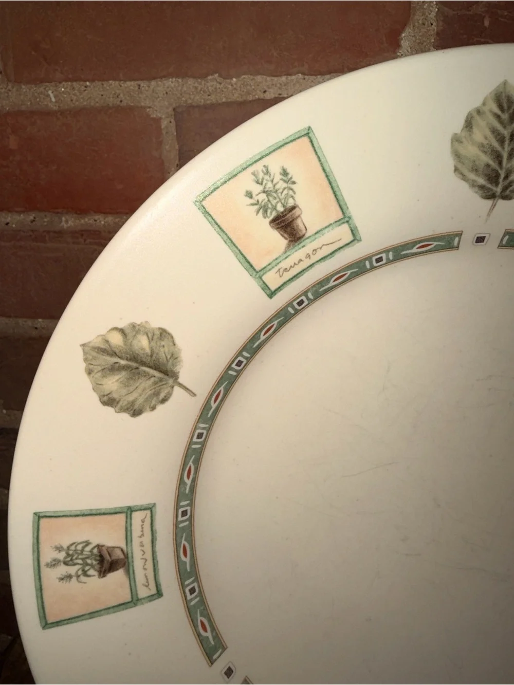 Pfaltzgraff Cream Dinner & Salad Plate Set Green Botanical Accents Set of 2 Vtg